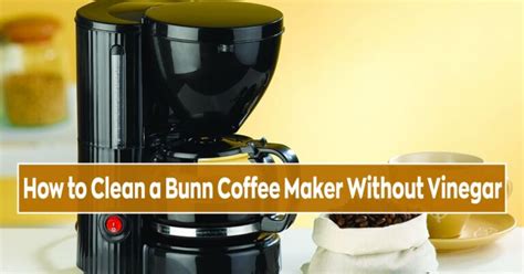 clean  bunn coffee maker  vinegar special coffee maker