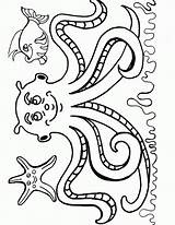 Octopus Coloring4free sketch template