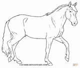 Coloring Horse Lusitano Pages Drawings Supercoloring Drawing Printable Lineart Horses Morgan Orb Cat Shop Choose Board Deviantart sketch template