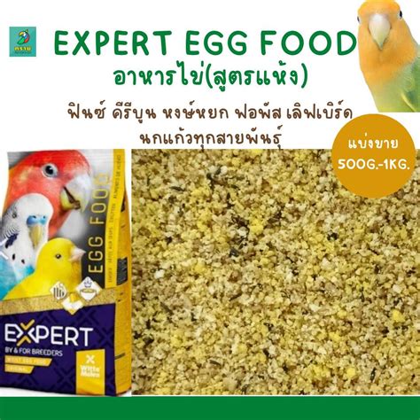 expert egg   lazadacoth