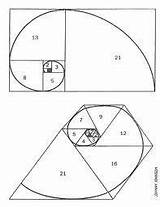 Fibonacci Spiral sketch template
