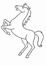 Cheval Hugolescargot Paard Cavalli Kleurplaat Stampare Imbizzarrito Precedenti sketch template