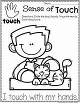 Senses Preschool Touch Planningplaytime Preschoolers Sight Sentidos Playtime Toddler Preescolar sketch template