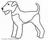 Coloring Pages Dog Terrier Airedale Breed Fox Hubpages Breeds Choose Board sketch template