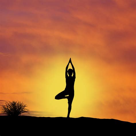 sunset yoga  stock photo public domain pictures