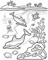 Coloring Pages Underwater Ocean Scene Sea Printable Color Adults Under Getcolorings Print Template Worksheet sketch template