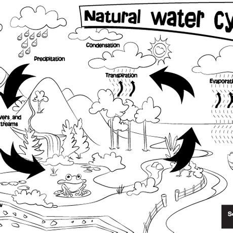 natural water cycle colouring sheet south east water education