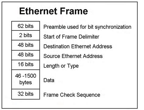 zwiebel uhr symposium ethernet paket klicken ehefrau regenerativ