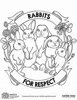 Coloring Violence Pages Domestic Sheets Non Own Nnedv Template Respect Rabbit Getdrawings Visit Color Getcolorings sketch template