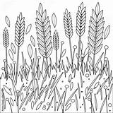 Wheat Coloring Field Book Barley Vector Rye Illustration Growing Pic Comp Contents Similar Search sketch template