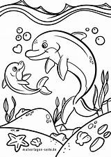 Delfine Malvorlage Tiere Malvorlagen sketch template