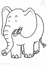 Elephant Coloring Kids Pages sketch template