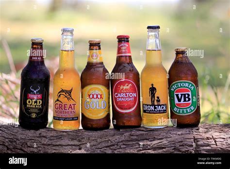 australian beer brands  bottles  beer   breweries  tree trunk