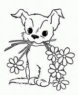Coloring Puppy Outline Popular sketch template