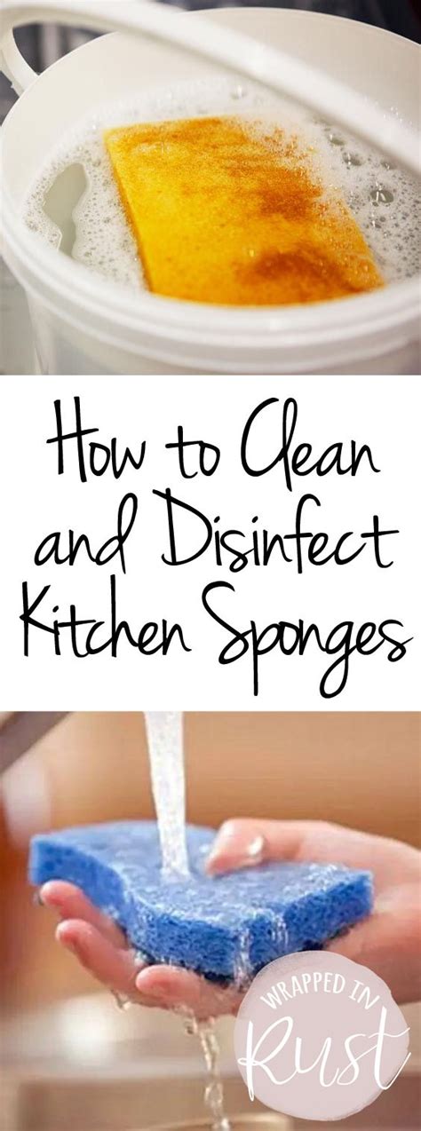 clean  disinfect kitchen sponges cleaning kitchen cleaning