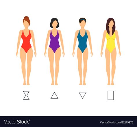 Cartoon Female Body Shape Types Royalty Free Vector Image