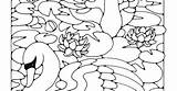 Swans Coloring Book sketch template