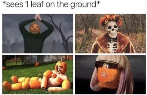 30 fall memes for the autumn obsessed funny fall memes