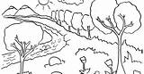 Pemandangan Mewarnai Hutan Sungai Langit Paud Cerah Hewan Sederhana Ue3 Buah Kartun sketch template