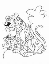 Tiger Coloring Cub Baby Mother Pages Drawing Kids Printable Getdrawings Popular Her sketch template