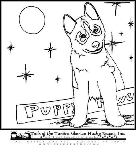 cute husky puppies coloring pages puppy coloring pages dog coloring