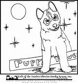 Husky Coloring Hunde Ausmalbild Kleurplaten Kiezen sketch template