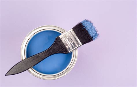 painting   paint         homes