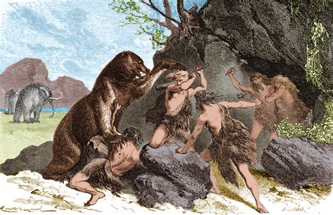 study  ancient humans hunted big mammals  extinction wkno fm