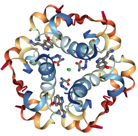 insulin chemical structure