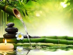 bamboo spa fl  massage spa