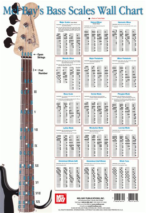 blank bass guitar wiring diagram collection faceitsaloncom