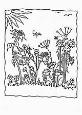 Blumenwiese Malvorlagen Maerchen Welt sketch template
