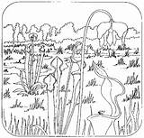 Coloring Plant Carnivorous Designlooter 509px 13kb Drawings sketch template
