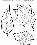 Tree Leaves Coloring Pages Palm Getcolorings Leaf Print Charming Color sketch template