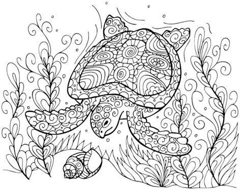 turtle coloring pages   printable  verbnow