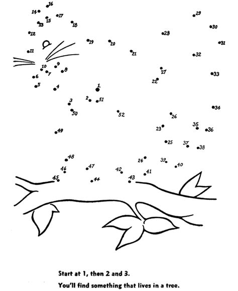 dot  dot coloring activity pages squirrel  tree connect  dots