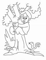 Climbing Tree Coloring Boy Clipart Cartoon Trees Climb Child Clip Designlooter Drawings Library Popular 792px 85kb sketch template