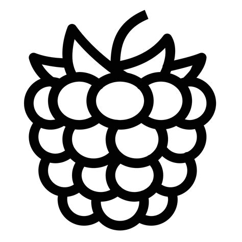 raspberry icon   icons library