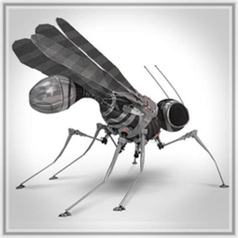 cyberspace designs dragonfly