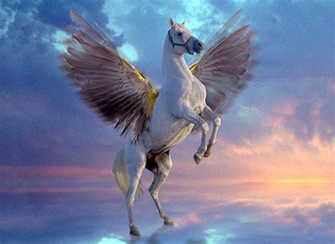 pegasus  winged horse  greek mythology