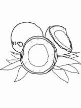Coconut Coloring Pages Tree Printable Drawing Fruits Kids Color Getcolorings Print Getdrawings Template Categories Recommended sketch template
