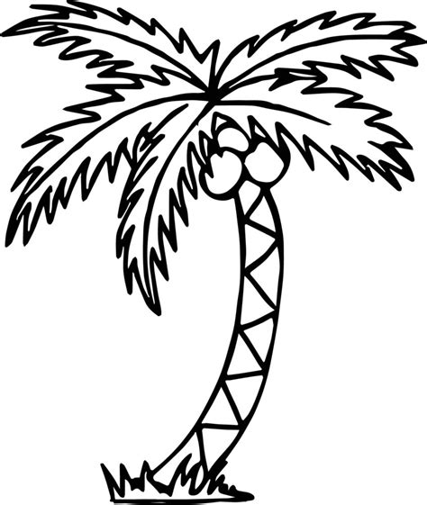 printable palm leaf coloring page  printable palm tree coloring