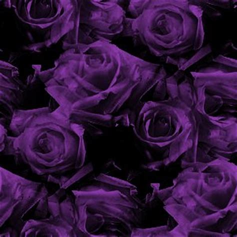 dark purple roses pattern background image wallpaper  texture