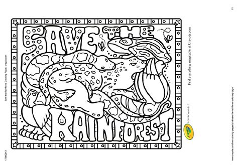 rainforest printable coloring pages printable templates