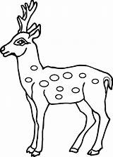 Deer Coloring Pages Spotted Baby Printable Outline Drawing Reindeer Antler Kids Cute Face Clipart Head Realistic Colouring Drawings Animals Wecoloringpage sketch template