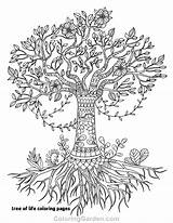 Roots Coloring Tree Pages Getcolorings Printable sketch template