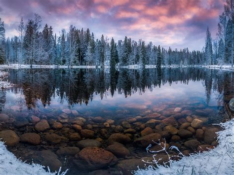 finland nature landscape winter snow morning sunrise forest lake