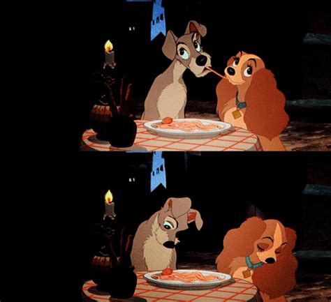 lady and the tramp find and share on giphy