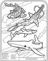 Coloring Pages Shark Goblin Sharks Dover Publications Color Book Thresher Ocean Doverpublications Welcome Getdrawings Frilled Sheets Kids Printable Getcolorings Template sketch template