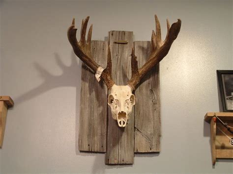 european mount  reclaimed barn boards deer hunting decor deer